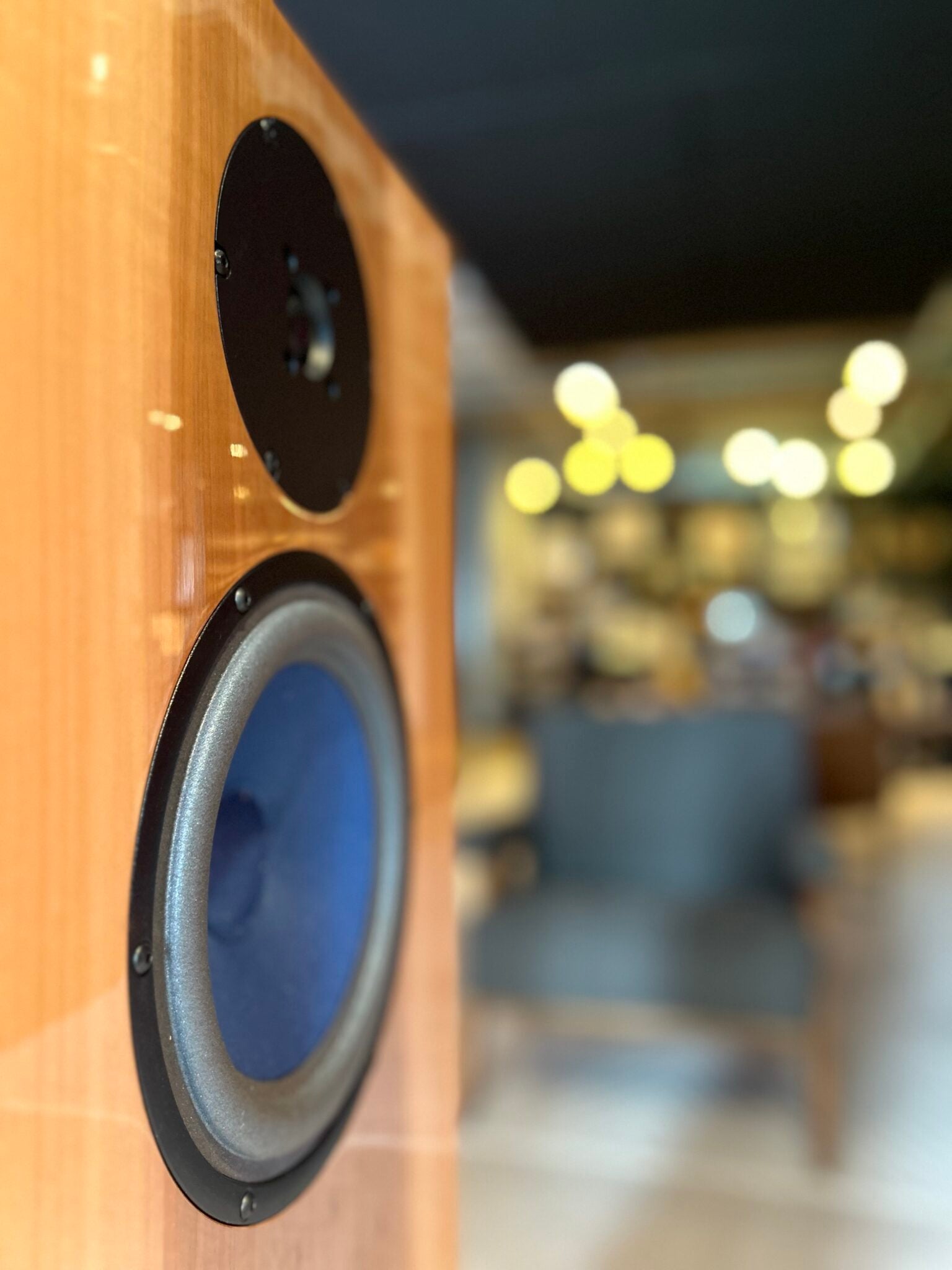 Experience Audio Note Field Coil Speakers at Soundlux Audio