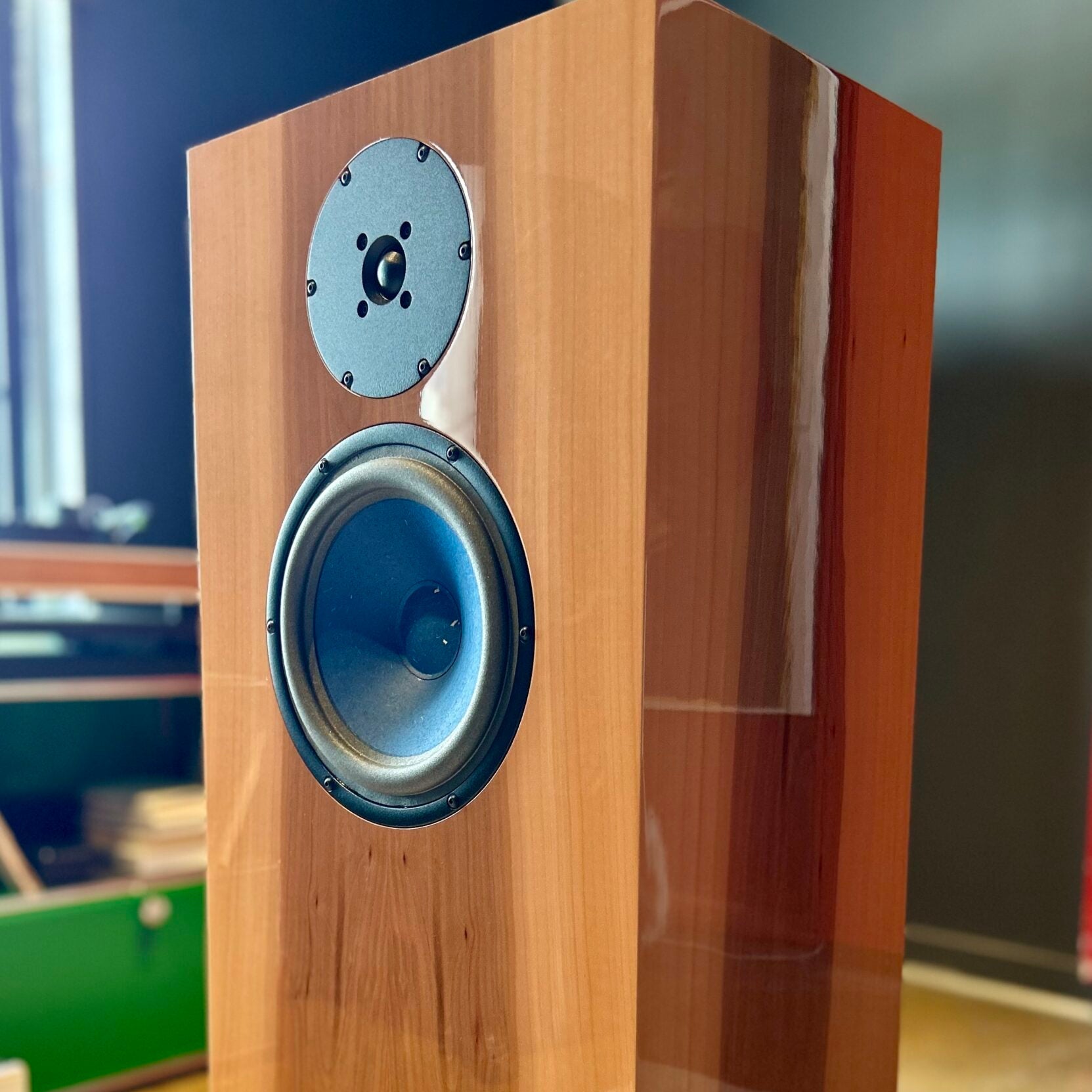 The Unique Nature of Audio Note Field Coil Speakers