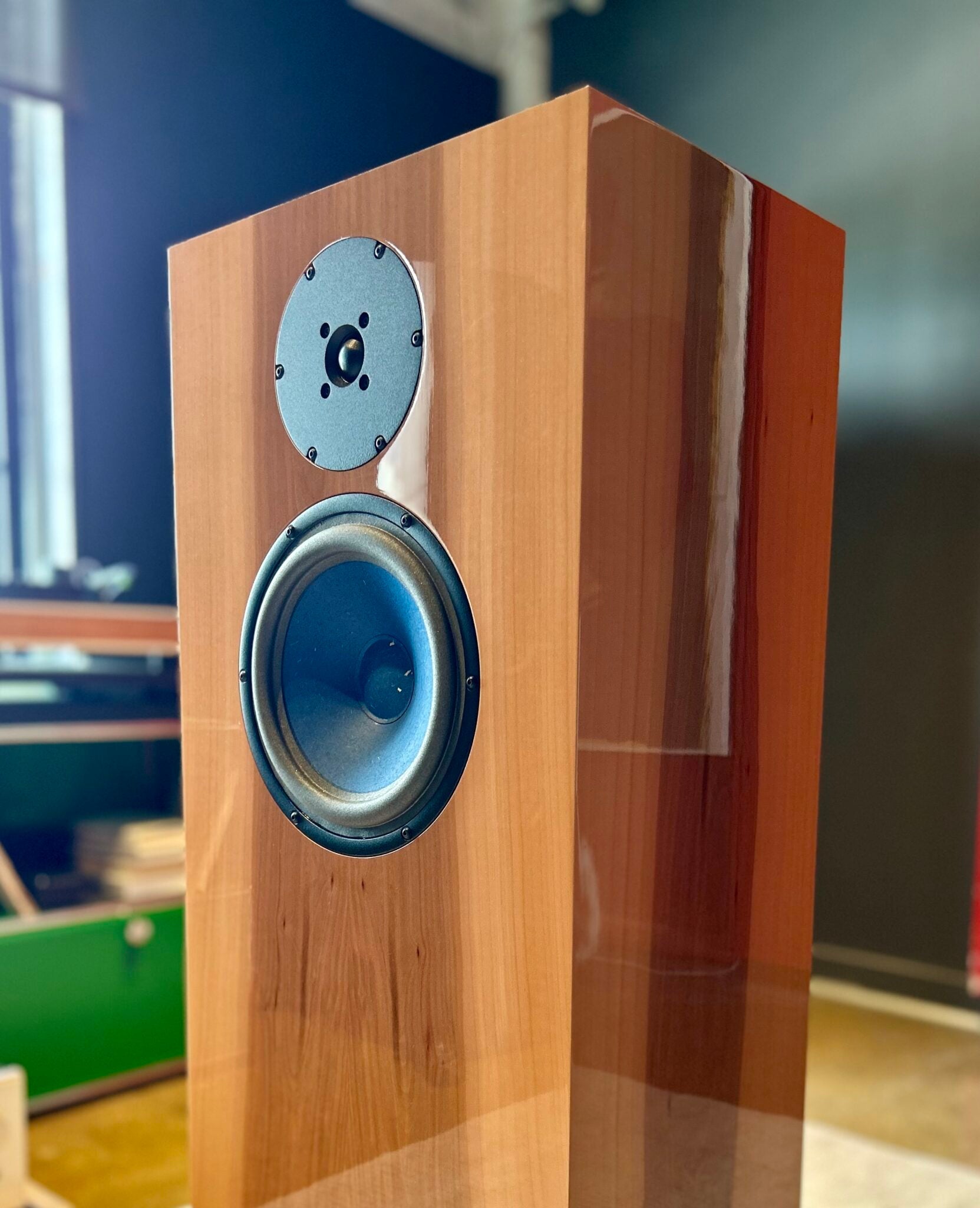 The Unique Nature of Audio Note Field Coil Speakers