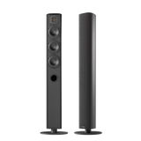 PIEGA ACE 50 floorstanding speaker
