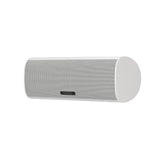 PIEGA ACE Center center channel speaker