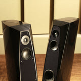 Rockport Technologies Atria II Loudspeakers