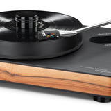 Dr. Feickert Analogue Woodpecker